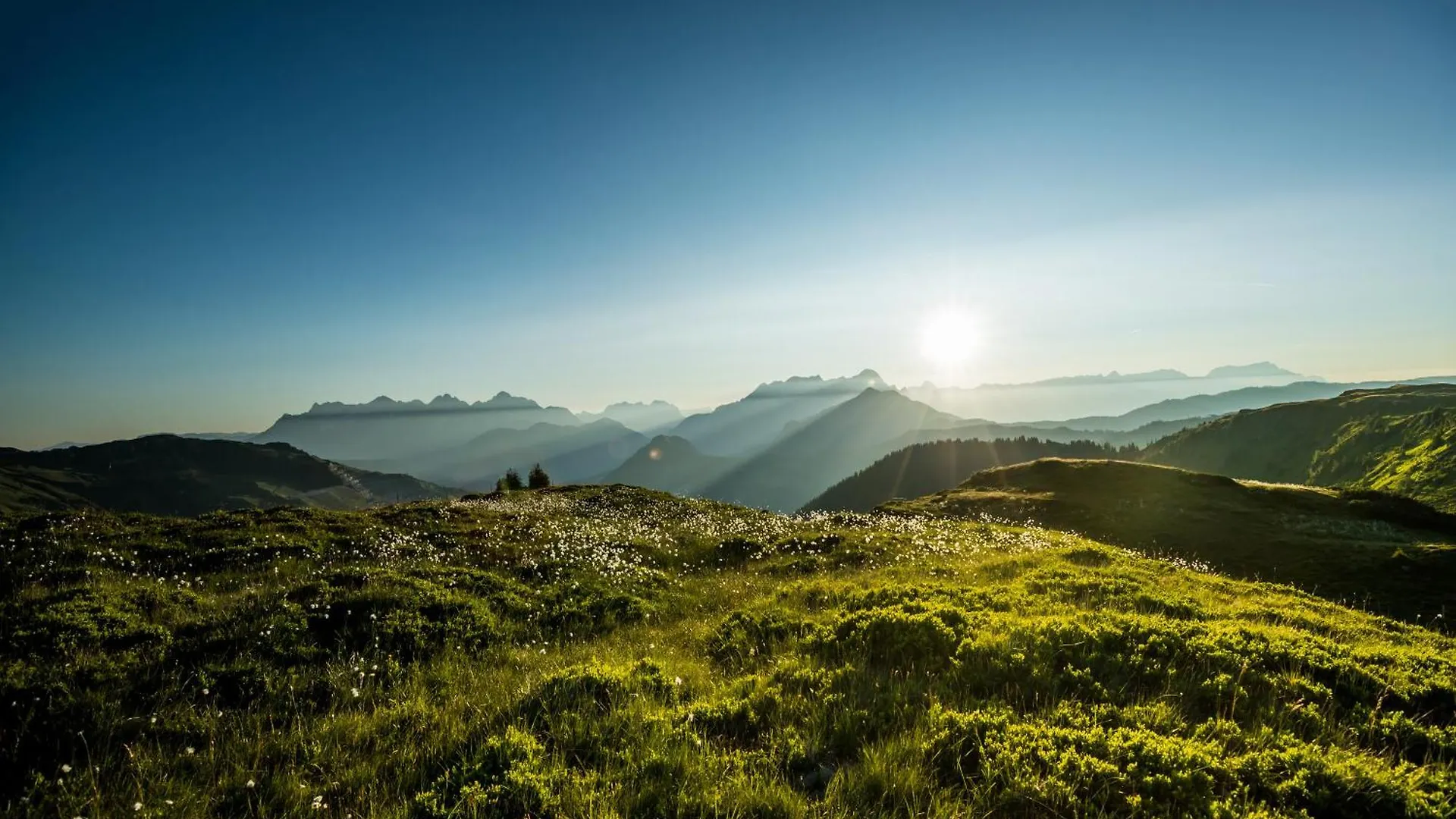 THOMSN-Alpine Rock Hotel Saalbach Aparthotel